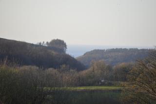 Dog friendly rural location - Llanerch-Aeron - 4
