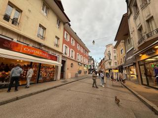 Charming room apartment in a great location - Thonon-les-Bains - 3