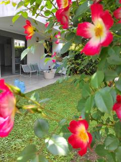 The elegant urban apartment - Atene - 7