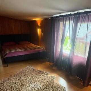 Cheerful 2 bedroom and lounge town house with free parking - 2