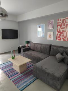 The elegant urban apartment - 6