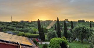 Sunnyhill Home - 6