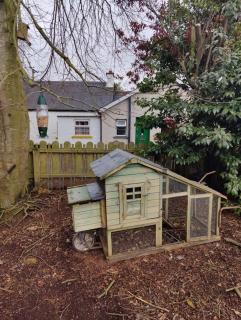 Lough Shore Cottage - Magherafelt - 7