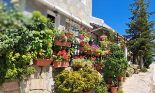 Kyperounta Troodos mountain house - Limassol - 7