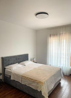 Cozy Apartment - Master Quart Podgorica - Podgorica - 8