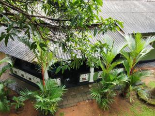 Green Bamboo House - 0