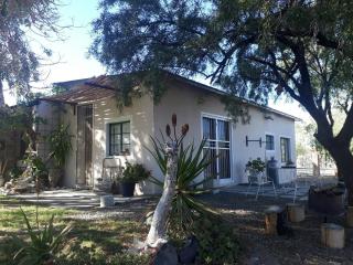 Rietfontein farmstay - Prince Albert - 9