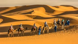 Glamping Under Stars - Merzouga - 1