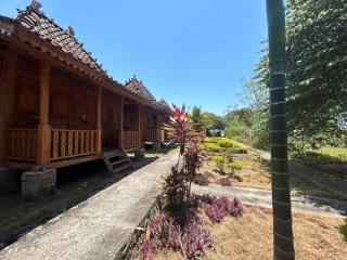 Parlezo Cottage Dintor -  - 4