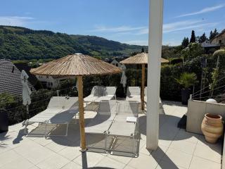 Weingut-Aparthotel Olinger - Mehring - 3