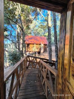 Cabañas en el Bosque de San José del Pacífico 5 - San Mateo Río Hondo - 7