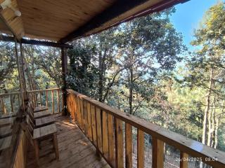 Cabañas en el Bosque de San José del Pacífico 5 - 4