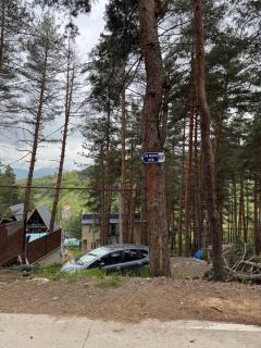 Evergreen Surami Hotel - Surami - 3