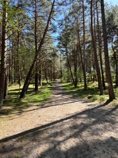 Bosio nad morze - Sztutowo - 7