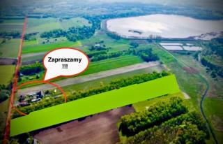 BRZOZOWY GAJ AGROTURYSTYKA - Bobryk - 9