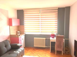 Charming Downtown Room - Niš - 8