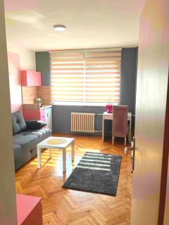 Charming Downtown Room - Niš - 9