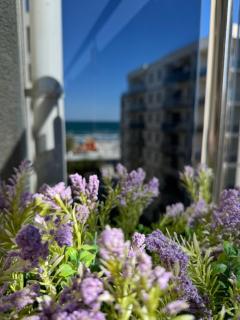 Yzy Seaside Mamaia Nord - Mamaia Sat/Năvodari - 9