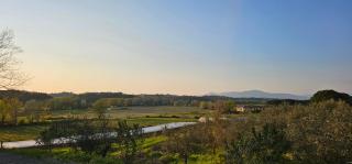 Il Tinaio - Soianella - 2