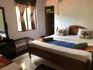 Senu hamestay - Dambulla - 0