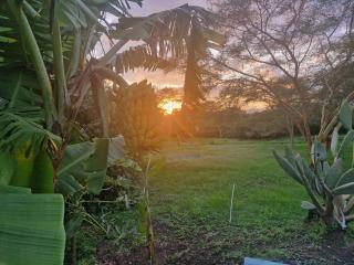Hacienda on Wildlife Estate - - 7