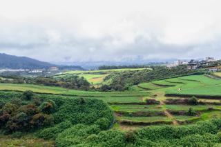 Prime England Cottages - Nuwara Eliya - 1