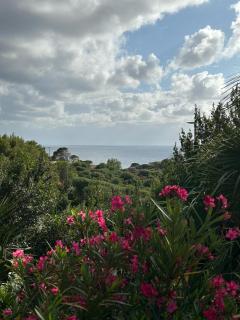 Baia del Corsaro - new sea panoramic villa in Sardinia, Italy - 250 mt beach&sea full comfort-WiFi-Parking-Privacy - Torre dei Corsari - 5