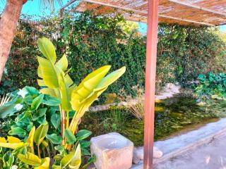 Casa Estanque Mutxamel Compartida Piscina Y Jardín 7 Pax - Mutxamel - 8