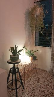 Apartment in the heart of the DISTRITO NACIONAL - Santo Domingo - 9