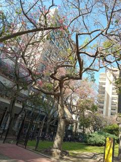 ciudad de buenos aires 3 - Buenos Aires - 4