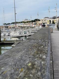 Appartement le petit platane - Royan - 3