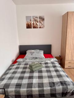 Gemütliches, renoviertes Appartement in Uniklinik- & City- Nähe - Homburg - 9
