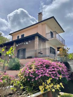 Pink House - Perdifumo - 0