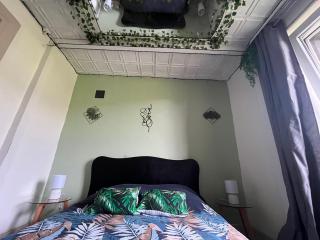 L'appart avec jardin - - 2
