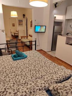 Cosy Open Large Studio By Roman Ruins Helexpo - Thessaloniki - 0