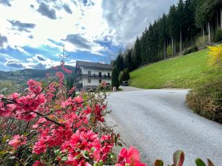 Alpenpension Gasthof - Ratten - 9