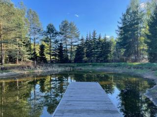 SHROOM & WATER chill calm nature - 7