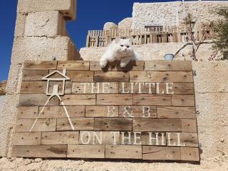 The Little B&B on the Hill - Wadi Musa - 9