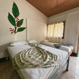 Perezoso Lodge 4 - Cahuita - 1