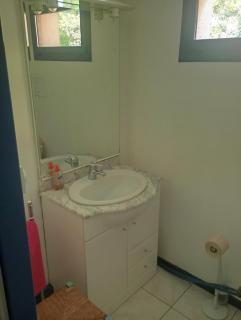 elevage du plec - 1