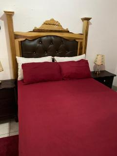 Woody Town Centre Apartment - Port Antonio - 8