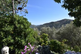 Finca El Corinto -The Enchanted Place - Cómpeta - 4