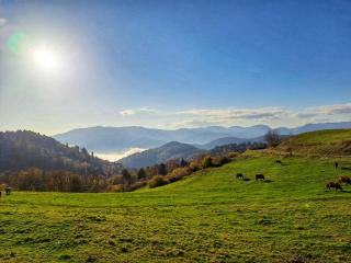 Chalet Notre Retraite - Ventron - 1