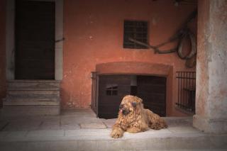 Agriturismo Casa de Bertoldi - 4