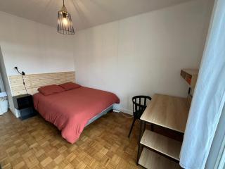Chambre Lumineuse - Toulouse - 3