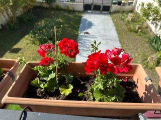 Maison Grand Paris avec jardin et parking privé proche RER B et M14 - Arcueil - 5