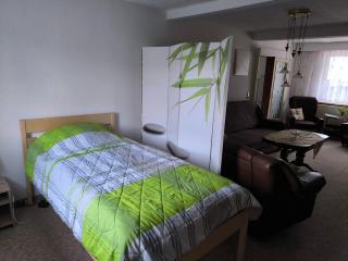 Große Ferienwohnung am Rennsteig - 2