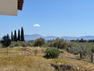 Poly's hill-house close to the beach - Plépi - 7