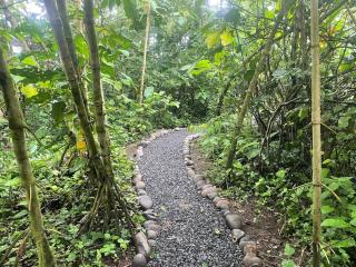 ParadiseTropical Garden Cabin with private jacuzzi - Fortuna - 3