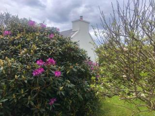 Secluded Farmhouse in West Cork - - 3